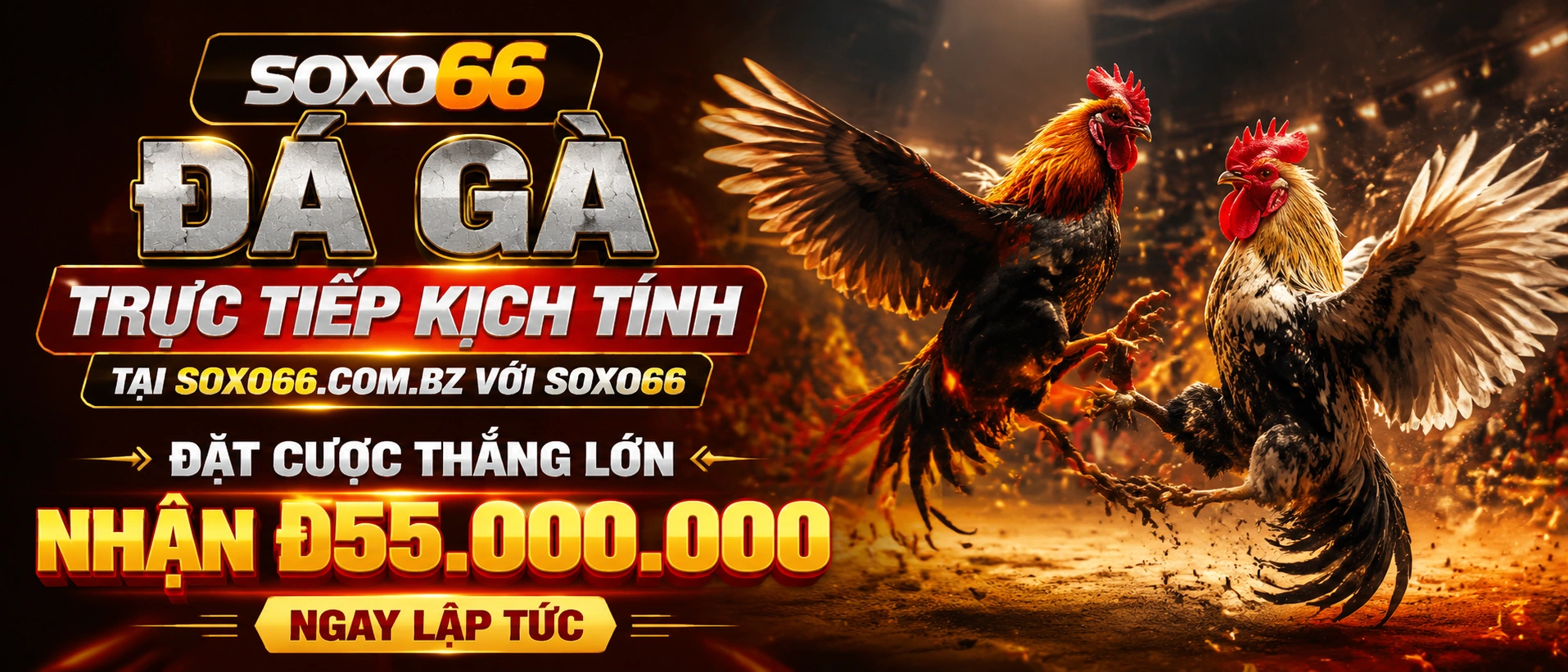 Phtaya | Sports News and Live Updates in the Vietnam 58 Card Games